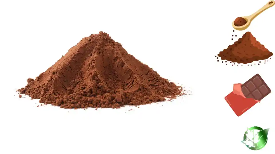 Commercial presentation of Chocolate Powder for wholesale product evaluation and buyer review.